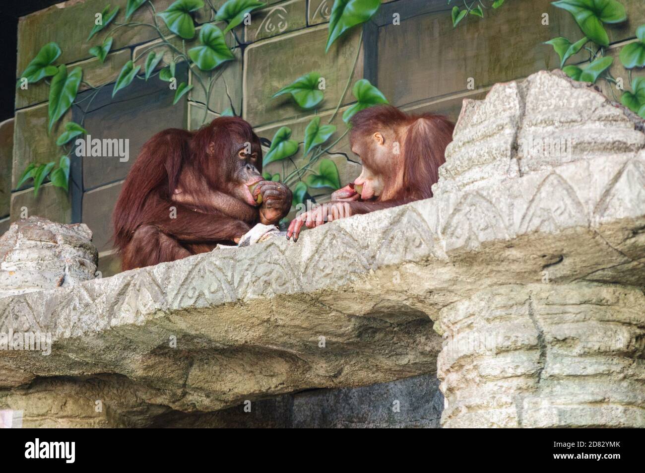 Erie Zoo Stockfoto