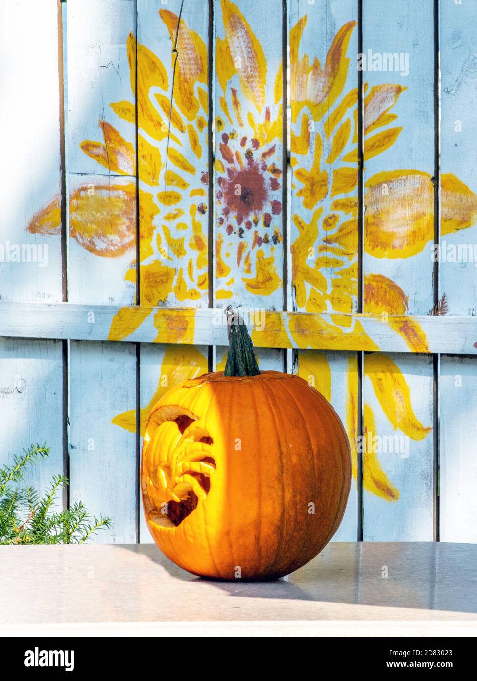 Geschnitzter Kürbis sitzt vor einer hübschen Blumengrafik Gemalt auf einem Außenzaun Stockfoto