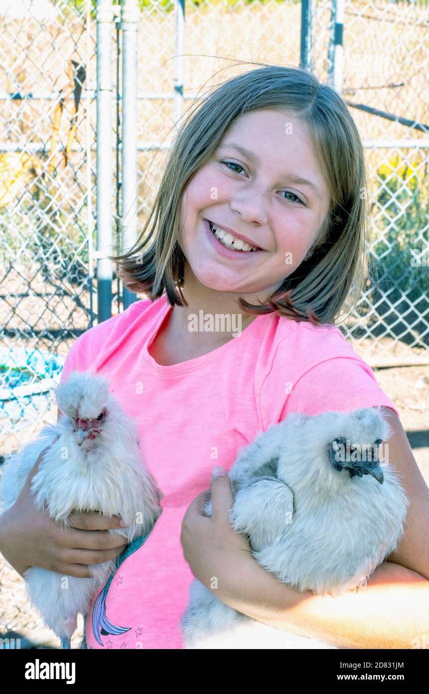 Kleines Mädchen posiert, wie sie ein Paar Hühner hält In einem Outdoor-Stift Stockfoto