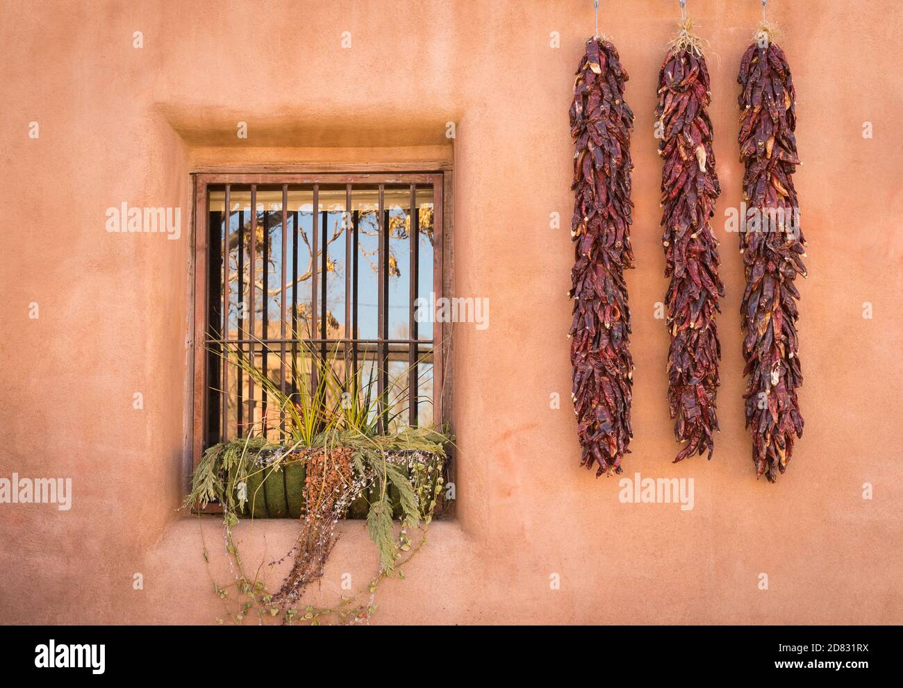 Chili-Pfeffer-Ristras und eiserne Gitterfenster; Altstadt von Albuquerque, New Mexico. Stockfoto