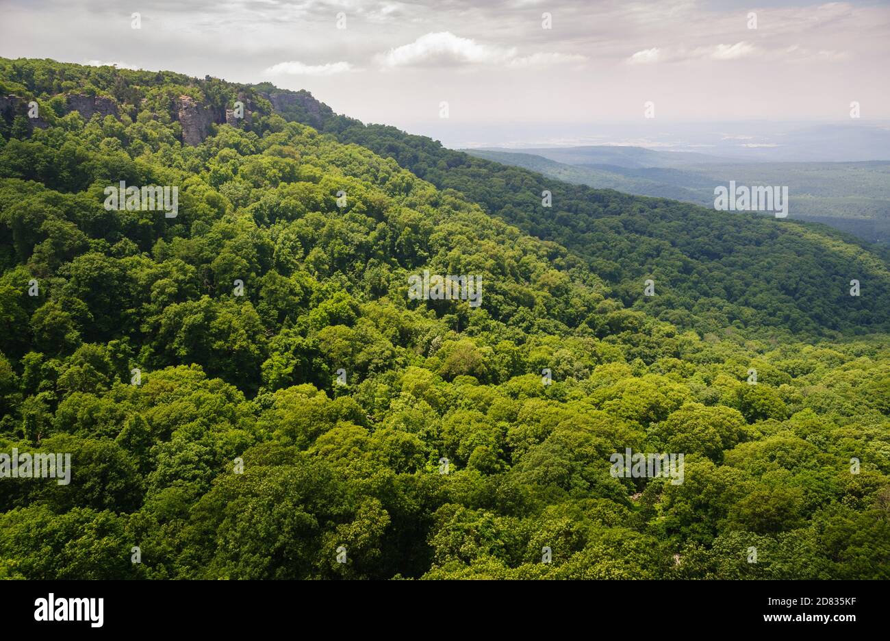 Mount Magazine State Park Stockfoto