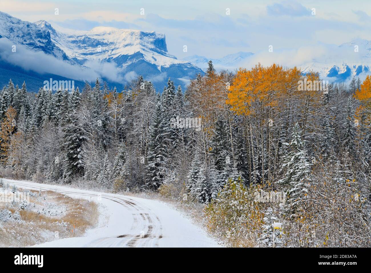 Ein Landschaftsbild des ersten Schneefalls der Saison auf den felsigen Bergen im Jasper National Park in Alberta, Kanada. Stockfoto