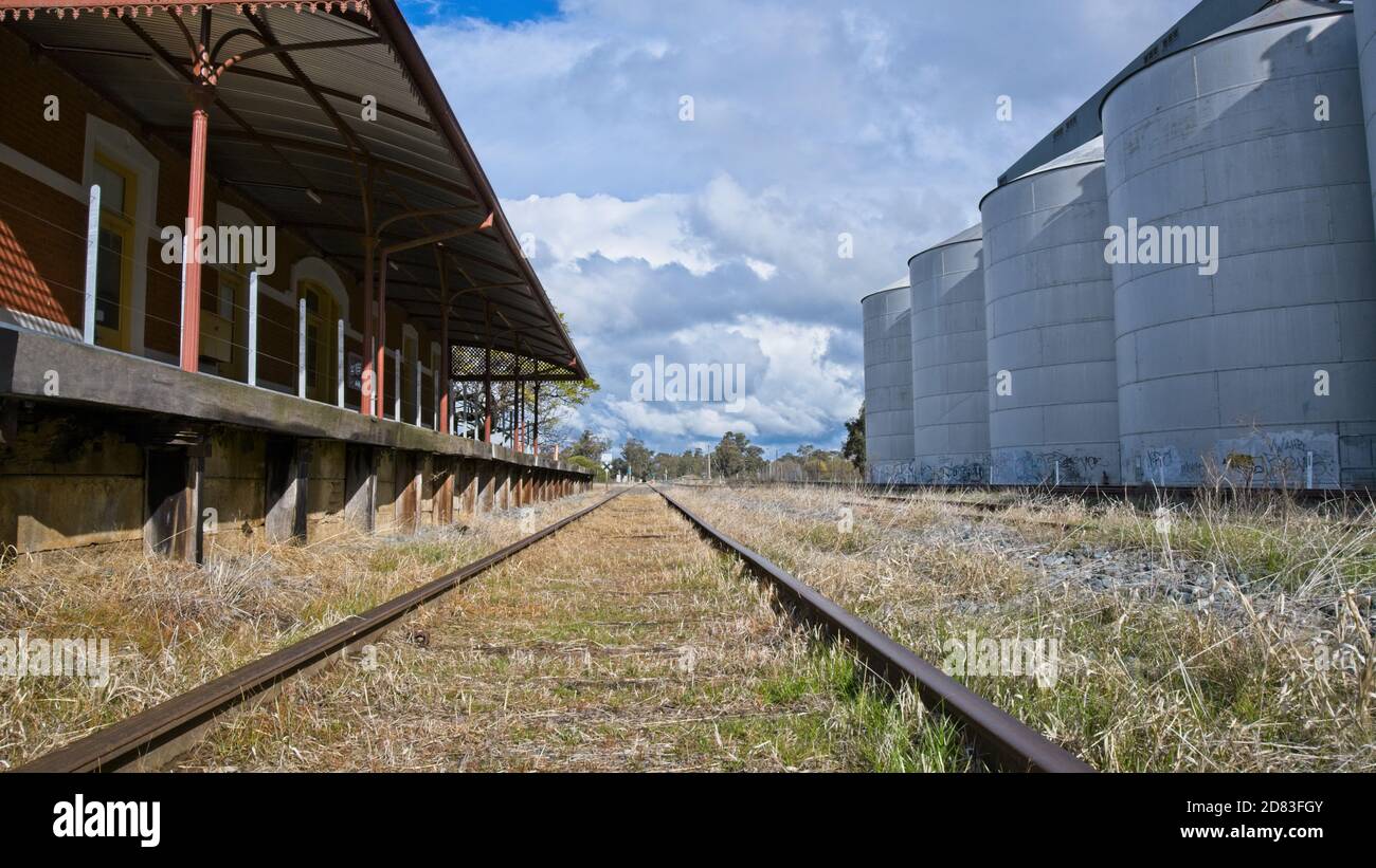 Die überwuchert Gleise am Yarrawonga Bahnhof Stockfoto