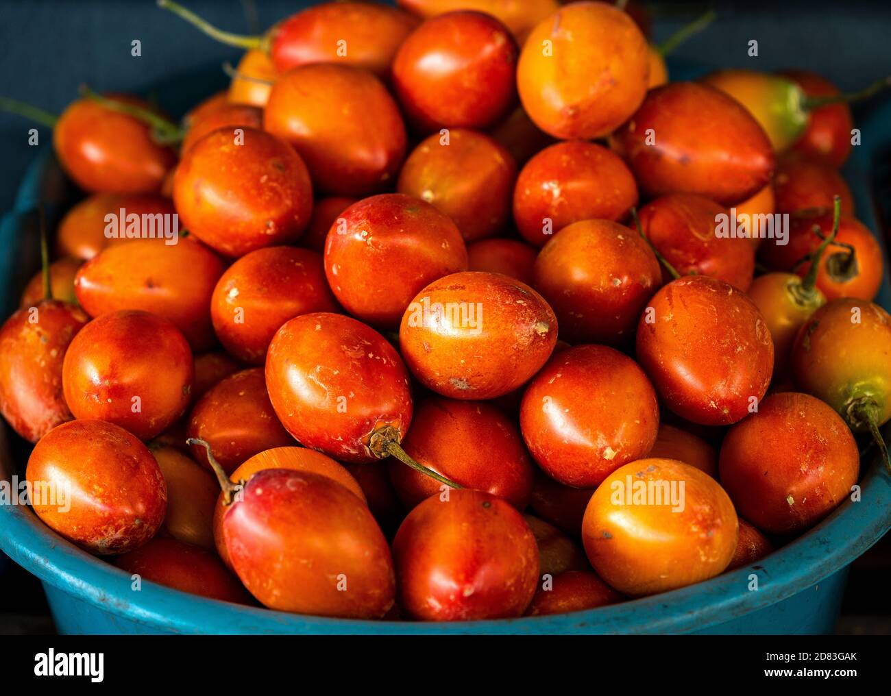 Stapel von Tamarillo (Solanum betaceum) Obst auf dem lokalen Markt, Quito, Ecuador. Stockfoto