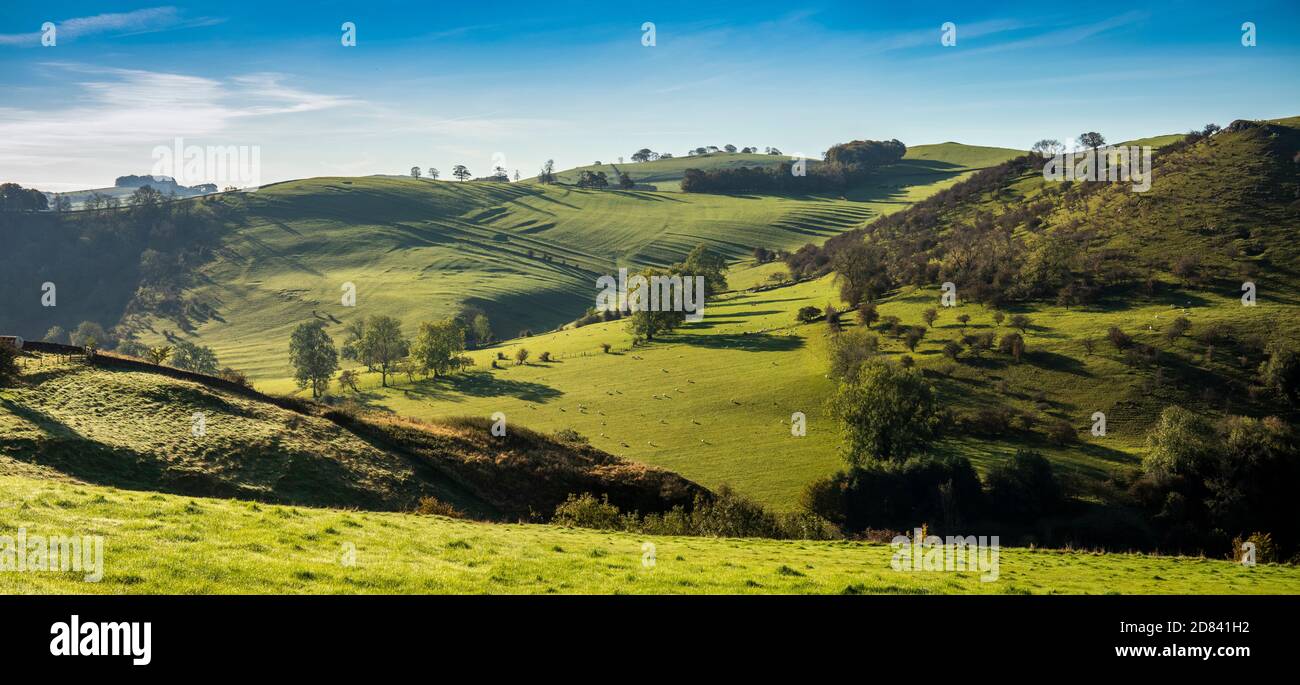 Großbritannien, England, Staffordshire, Moorlands, Wetton, mannigfaltiges Tal, mittelalterliche Landwirtschaft, alte Streifen-Lynchets, die von herbstlichem Sonnenlicht beleuchtet werden, Panorama Stockfoto
