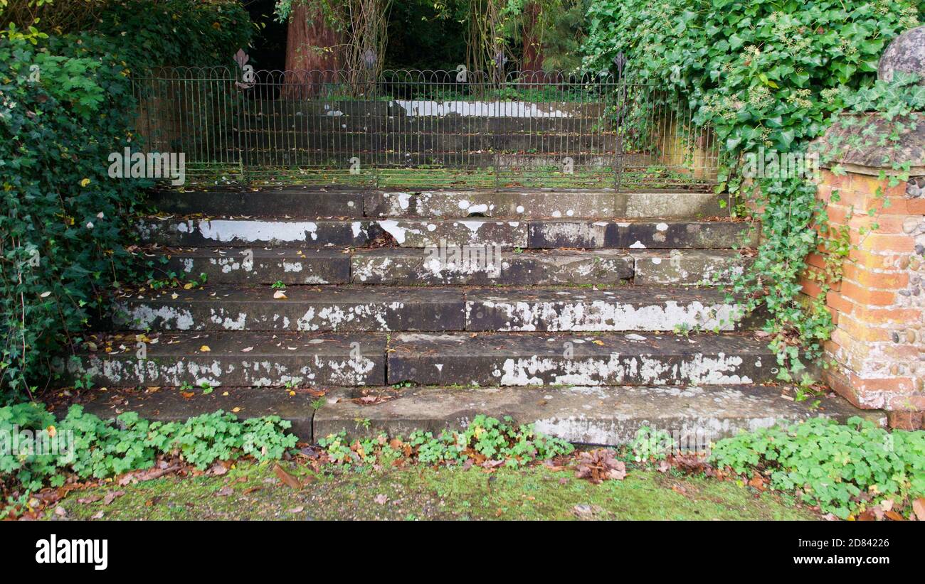 Verwitterte alte Steintreppe im Garten mit Wand und Efeu Stockfoto
