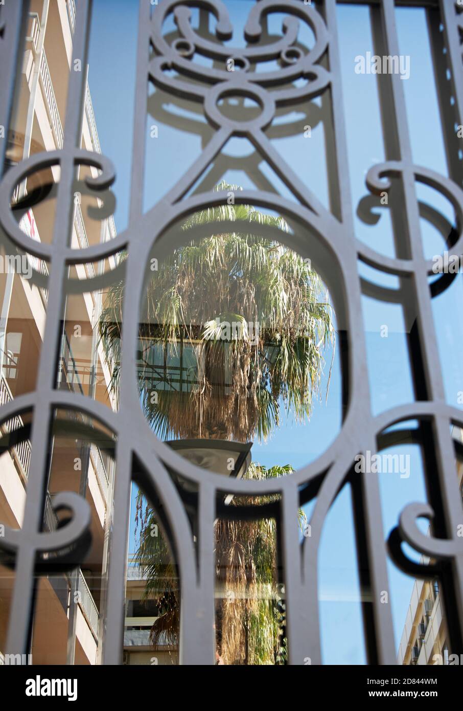 Spiegelung einer Palme auf der Glasscheibe einer Tür mit aufwendig gestalteten Eisenstangen. Konzept: Dekor, Gebäudesicherheit. Stockfoto