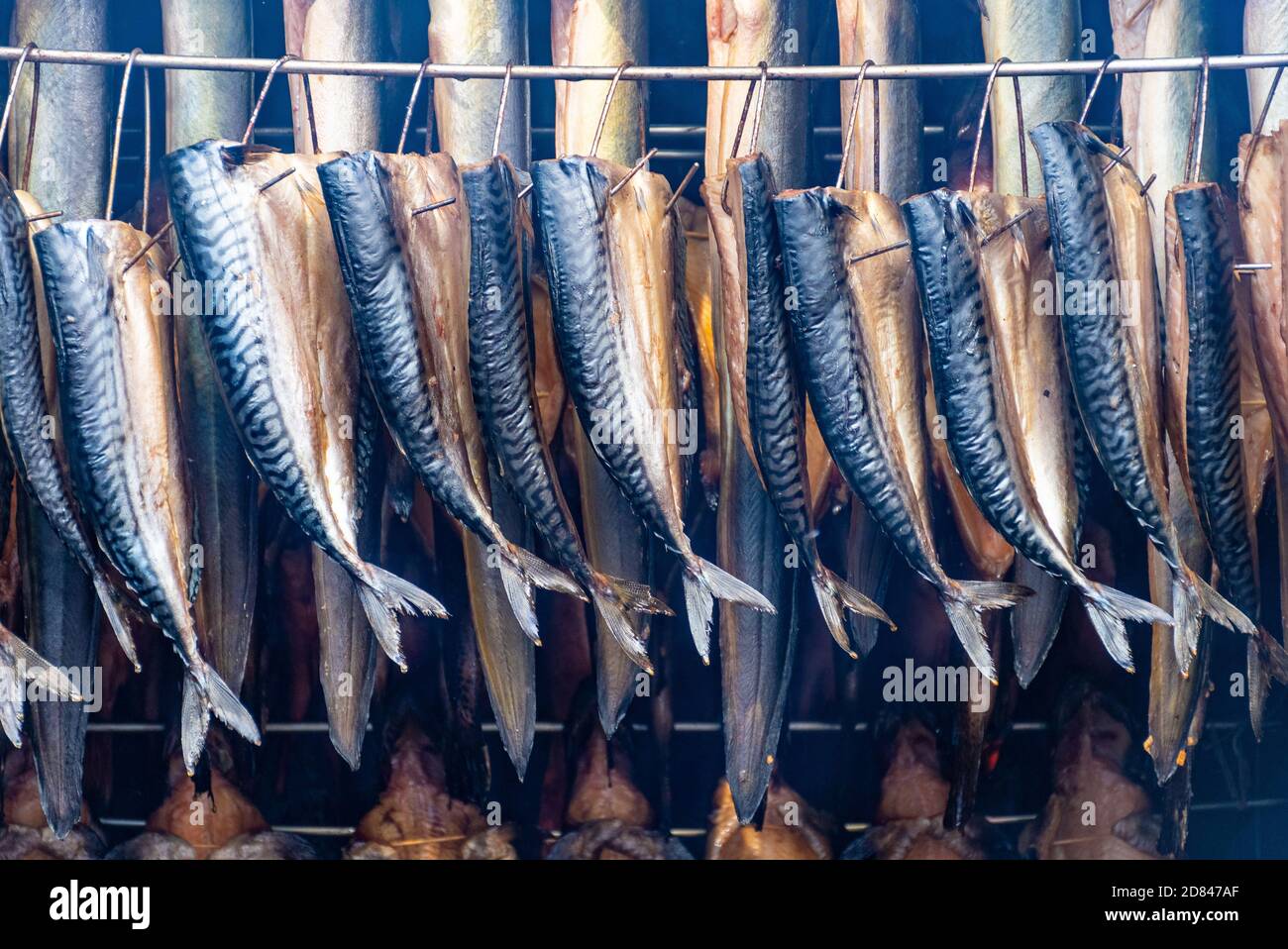 Trocken geräucherte gewürzte Makrelen und andere Fische in einem Raucher In einem traditionellen Markt Stockfoto