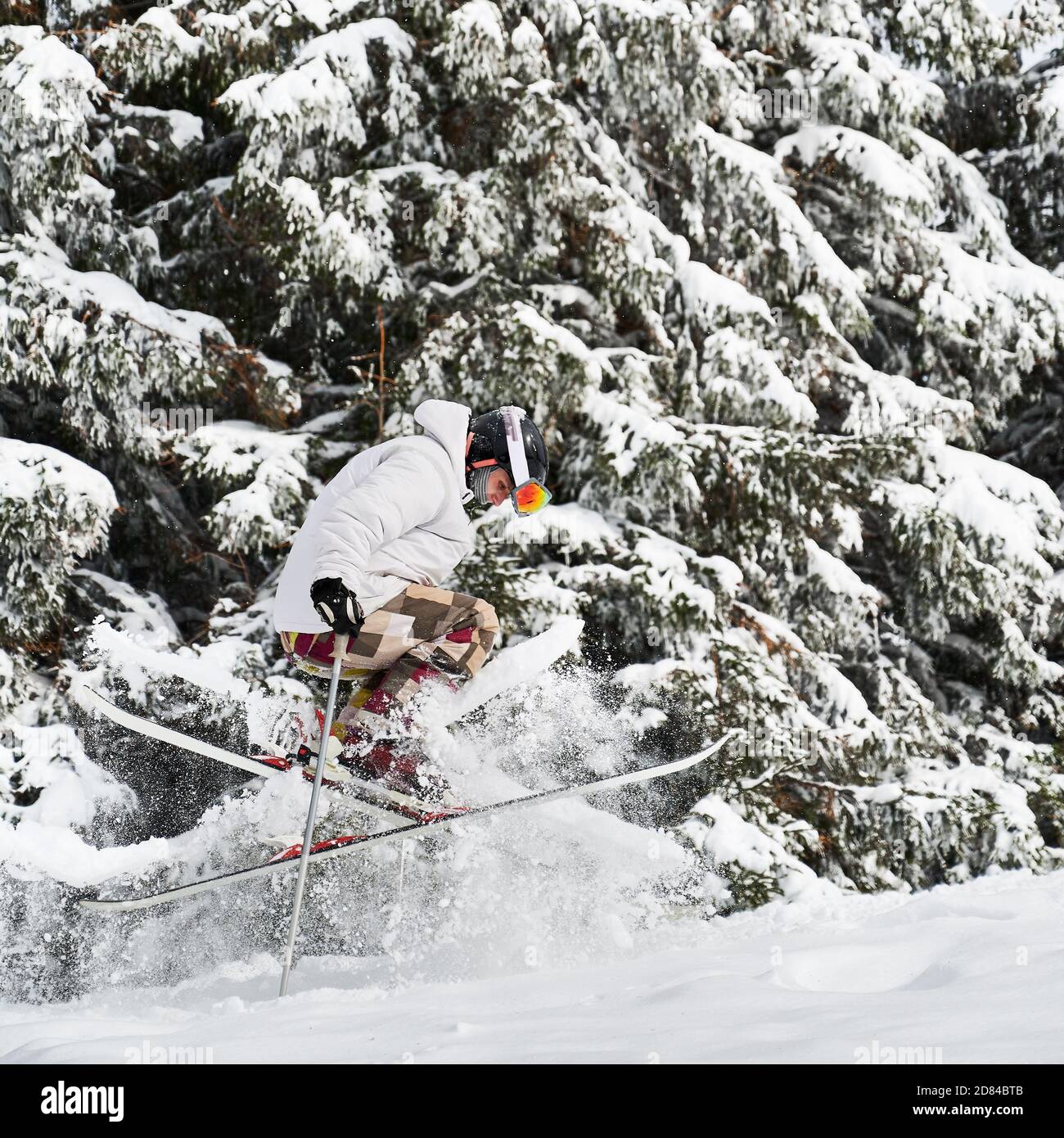 Skifahrer macht Tricks in den Bergen in der Wintersaison, Springen auf Hang mit schönen schneebedeckten Fichtenwald Hintergrund verschmolzen. Seitenansicht. Konzept der Winter Arten von Sport. Stockfoto