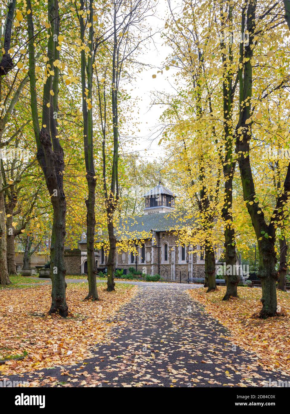 London im Herbst: Genießen Sie die Schönheit der Herbstfarben, Bewegung und frische Luft auf dem St. Pancras Old Church Friedhof Stockfoto