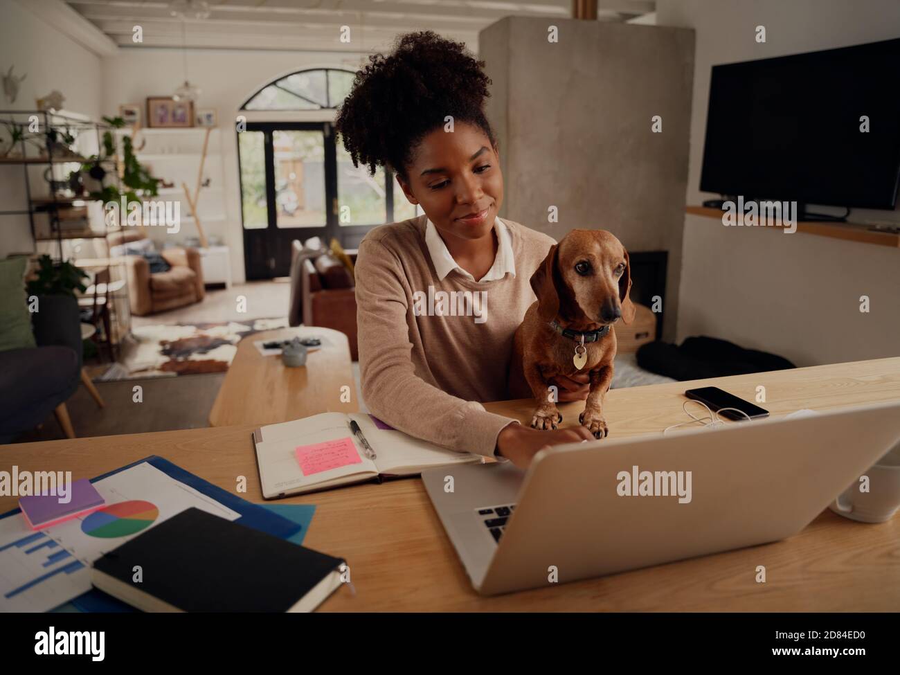 Glückliche afrikanische Frau zu Hause mit Laptop während Quarantäne arbeiten Sitzen mit Hund Stockfoto