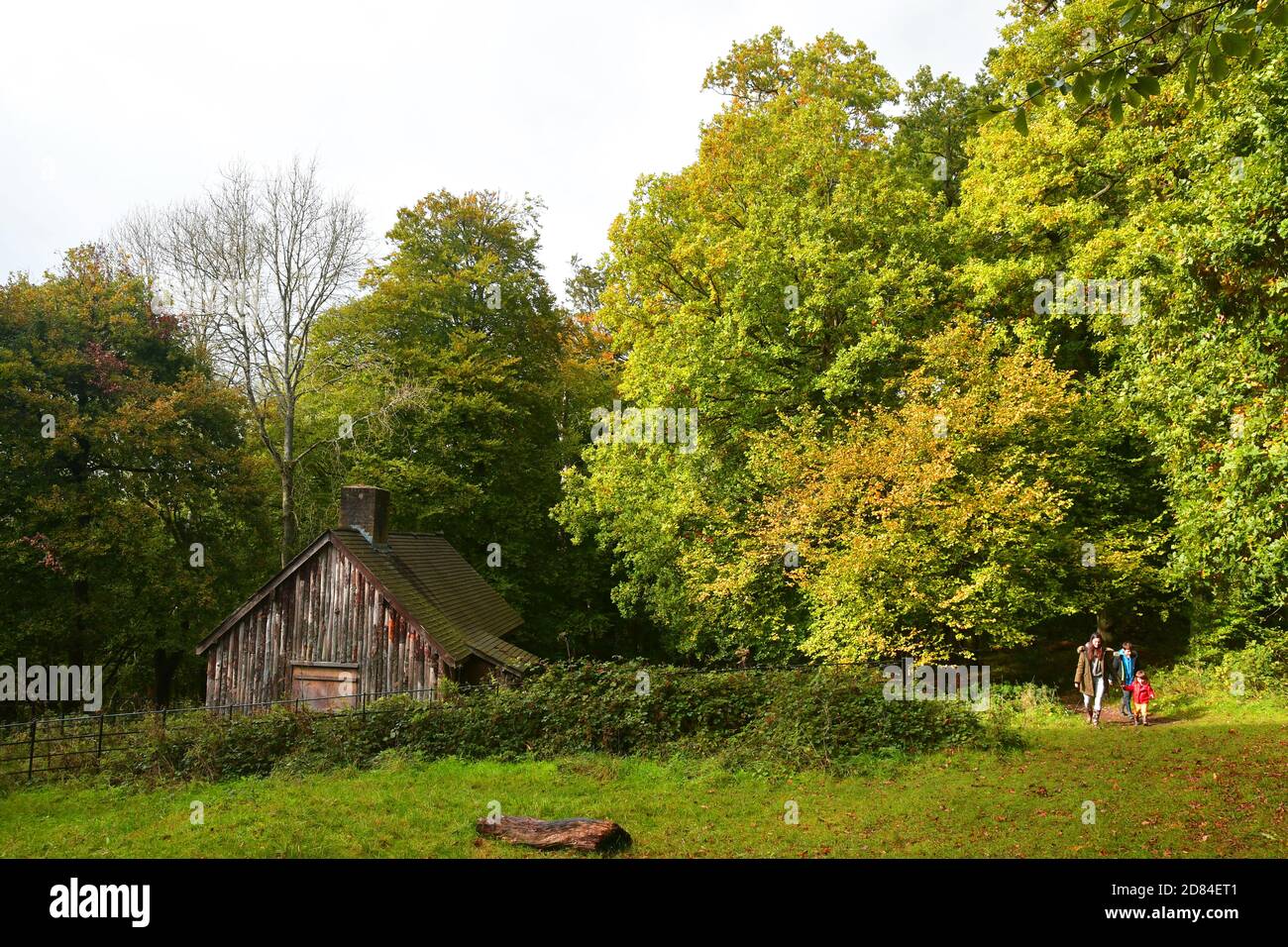 Ein Holzgebäude im Wald bei Ashridge Estate, Hertfordshire, Großbritannien. Herbst. Stockfoto