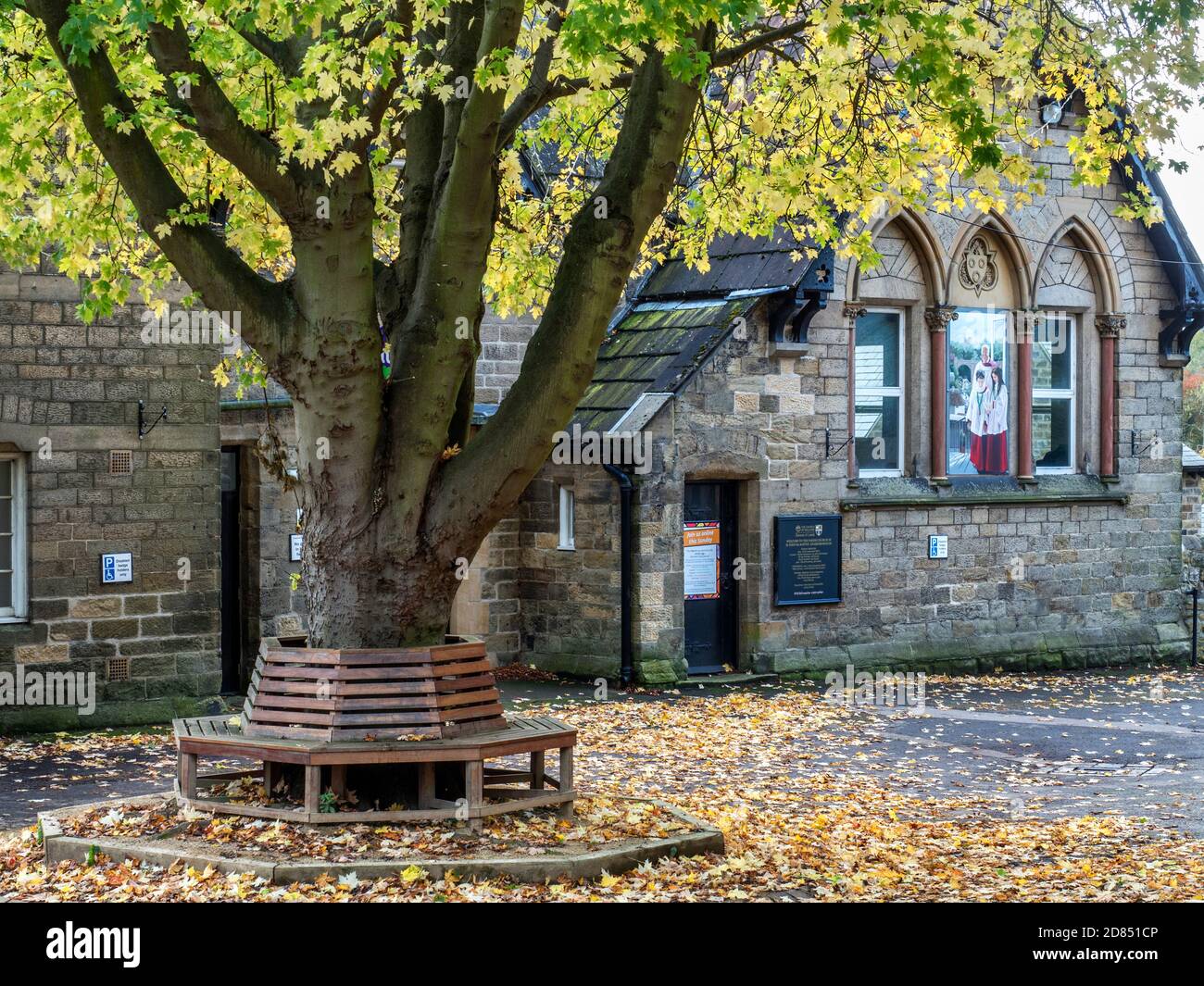 Sitz unter einem herbstlichen Baum umgeben von gefallenen Blättern an St. Johns Church Hall Knaresborough North Yorkshire England Stockfoto