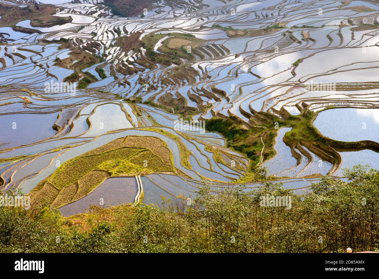 Yuan Yang Reisterrasse in China, größte Reisterrasse der Welt, Weltkulturerbe ist in der Provinz Yunnan Stockfoto