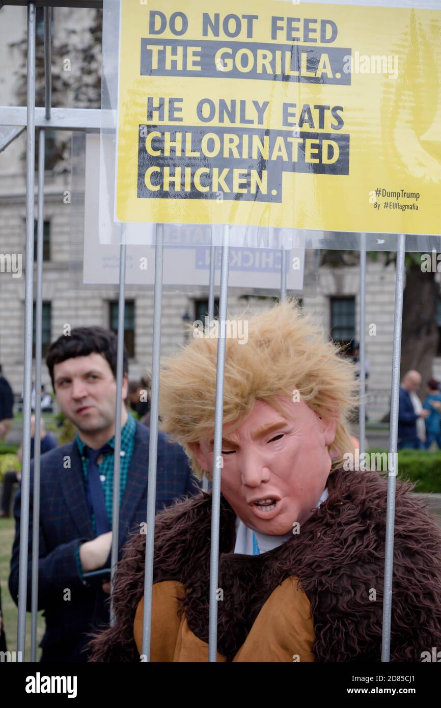 London, Großbritannien, 4. Juni 2019:- EIN Protestler, der als Donald Trunp in einem Käfig auf dem Parliament Square gekleidet ist Stockfoto