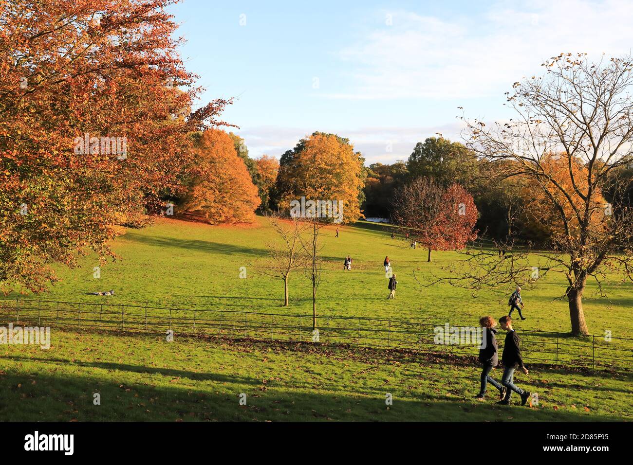 Wunderschöne Herbstfarben auf Hampstead Heath im Norden Londons, Großbritannien Stockfoto