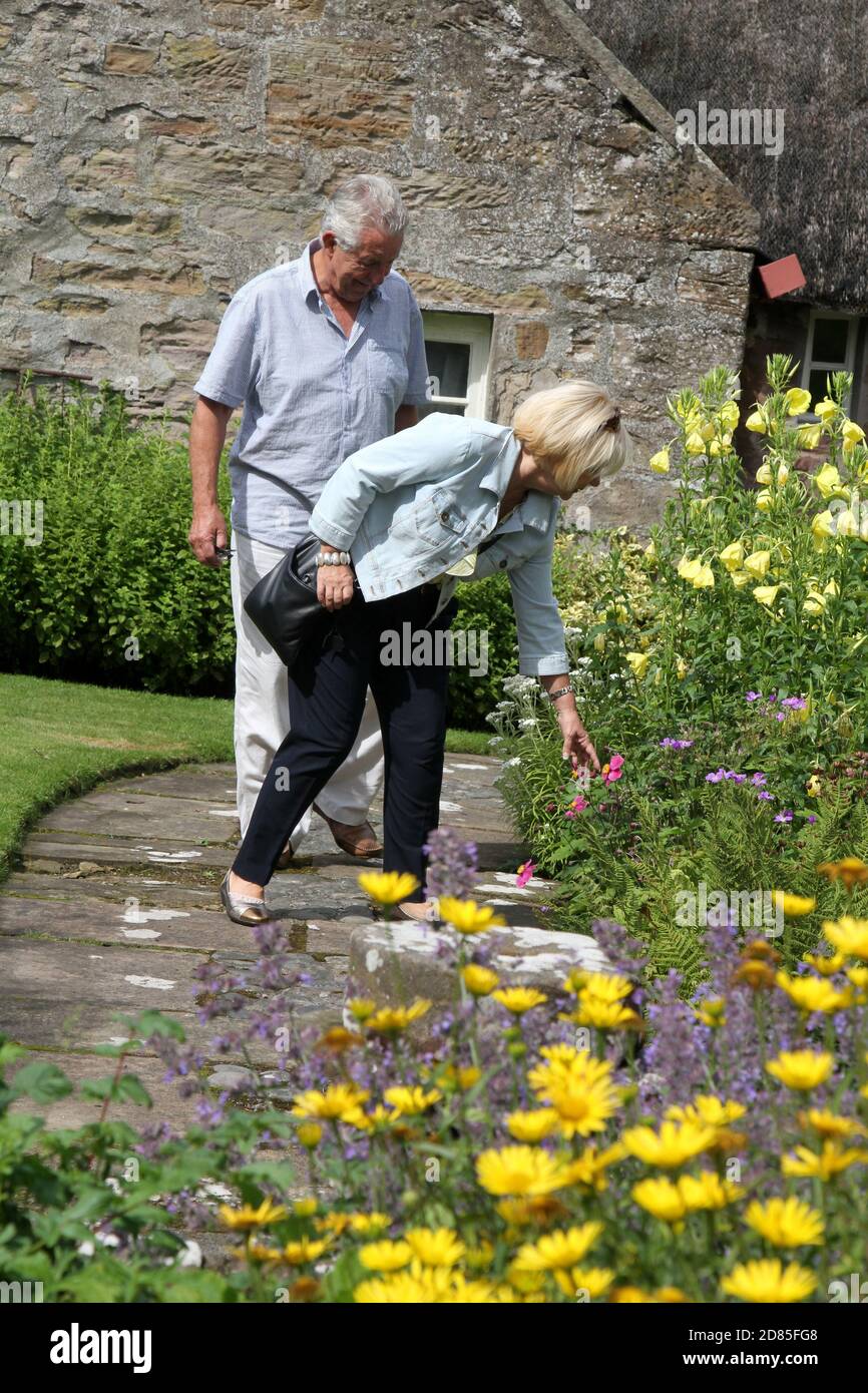 Kirkoswald, Ayrshire Schottland Souter Johnnies Cottage. Betreut vom National Trust for Scotland. Das Haus des Souter Johnnie aus dem 18.. Jahrhundert, verewigt von Robert Burns im Gedicht Tam o’ Shanter, der Heimat von John Davidson, der der ursprüngliche Souter Johnnie in Robert Burns berühmtem Gedicht Tam O' Shanter war, enthält Stilmöbel, Burns-Reliquien und eine rekonstruierte souter-Werkstatt. Stockfoto