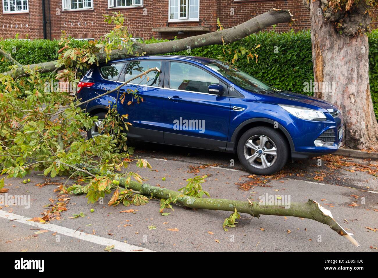 Ein geparktes Auto wird teilweise durch den gestürzten Ast eines Baumes zerquetscht, der während eines Sommersturms, der starken Wind einschloss, auf sein Dach fiel. Twickenham, London. VEREINIGTES KÖNIGREICH (122) Stockfoto