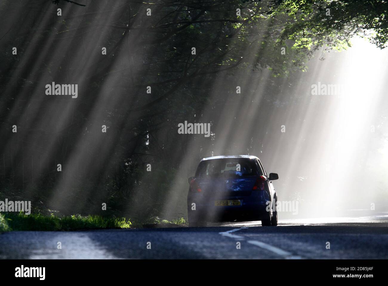 Maybole, Ayrshire, Schottland, Sonnenlicht scheint durch Baumkronen, als ein Auto in den Nebel dahinter entfällt. Konzeptionelles Bild mit Platz für Text Stockfoto