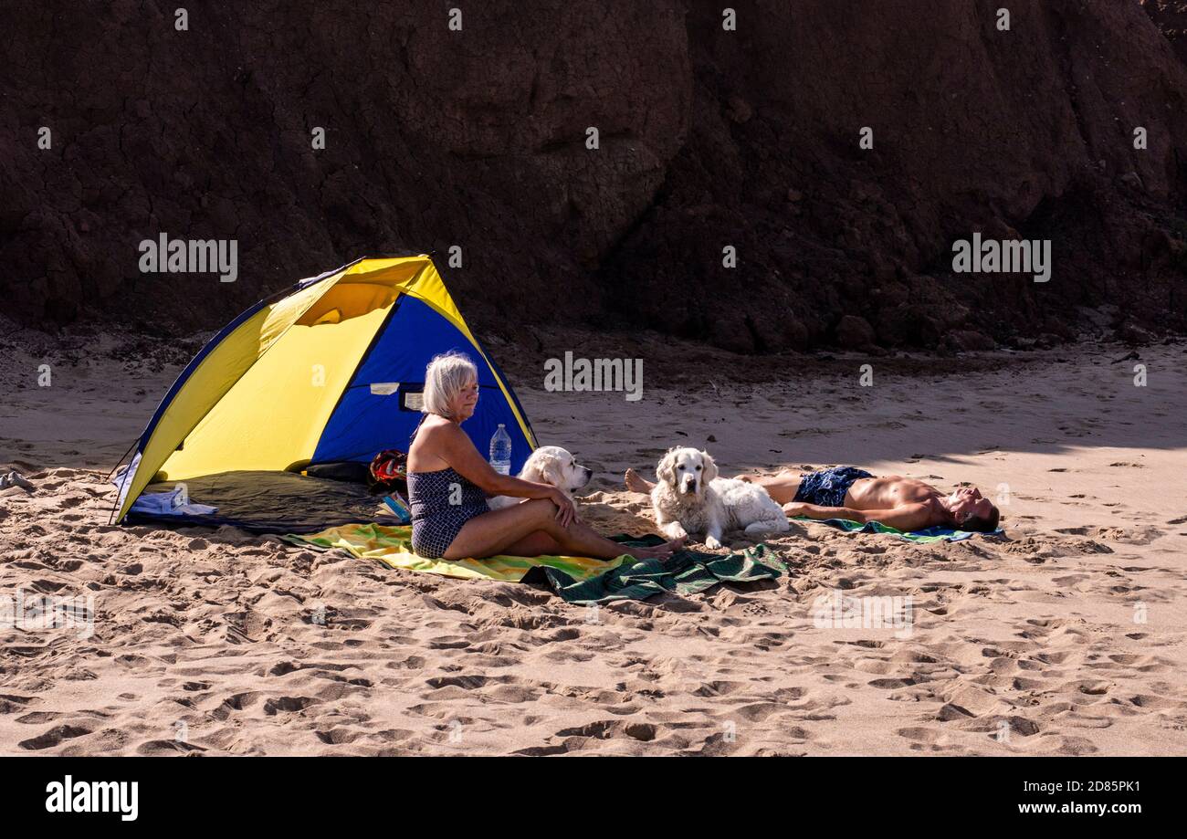 Frau Sonnenbaden am Strand mit Hunden, Whitby, England, Großbritannien Stockfoto