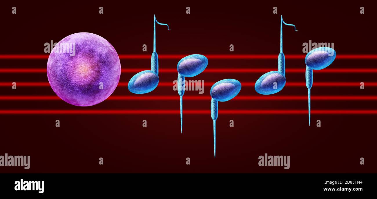 Geerbte Kreativität oder erblich kreative Eltern Konzept als Spermien und menschliche Ei als musikalische Noten als genetische Einfluss für künstlerische geformt. Stockfoto