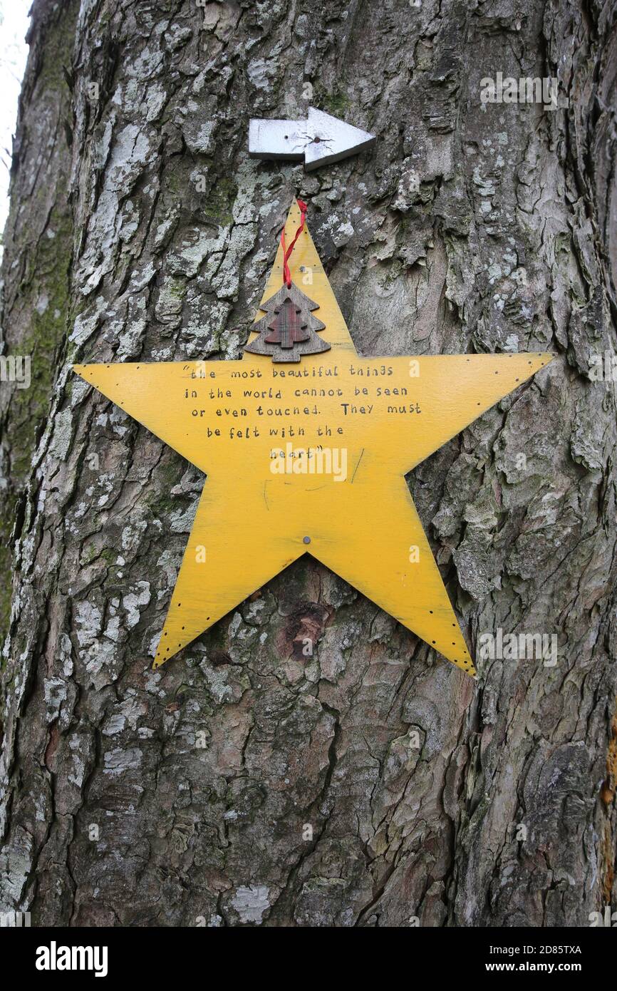 Fullerton Woods, Troon , Ayrshire, Schottland 24 April 2019 Ein magischer Fairy Trail, der von Anwohnern im lokalen Wald erstellt wurde. Der Weg ist ein Rundkurs um Fullerton Wälder und hat mehrere Feenhäuser und Baum mit allen Sorta von Feen gesammelt Waren Stockfoto