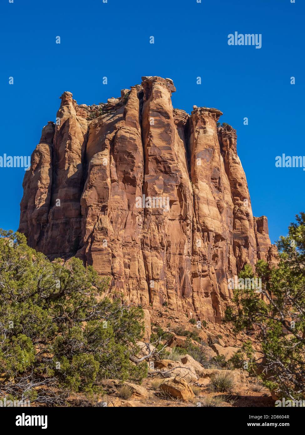 Die Insel, Monument Canyon Trail, Colorado National Monument in der Nähe von Grand Junction, Colorado. Stockfoto