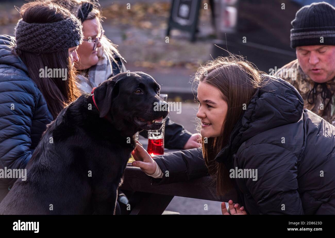 Mädchen lächelnd und streichelnd Haustier Hund Stockfoto