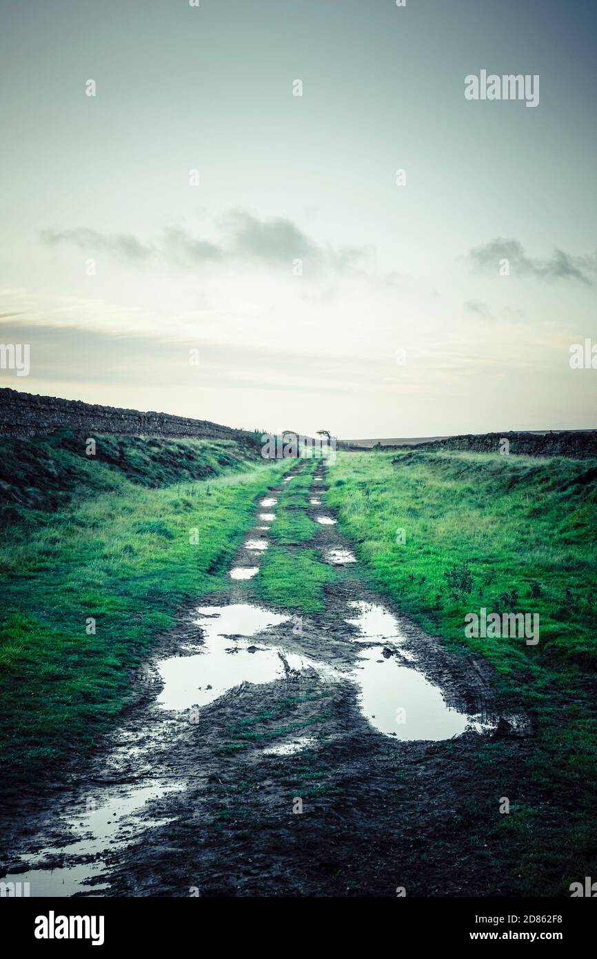 Eine schlammige Strecke oder Drover Straße über den Mooren in der Nähe von Consett, County Durham, Großbritannien Stockfoto