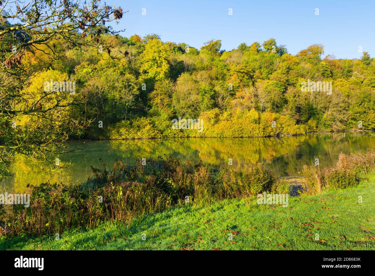 Blick auf das Wasser und die Bäume im Herbst am See Swanbourne, Arundel, West Sussex, England, UK. Stockfoto
