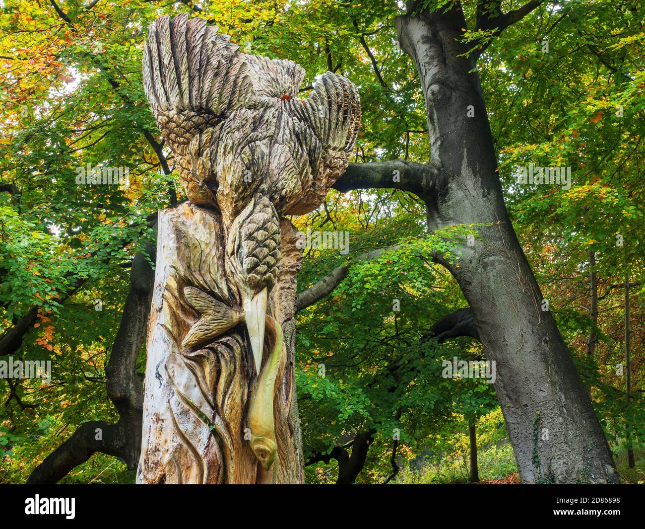 Kingfisher Baumskulptur auf Abbey Road im Herbst Knaresborough North Yorkshire Yorkshire England Stockfoto