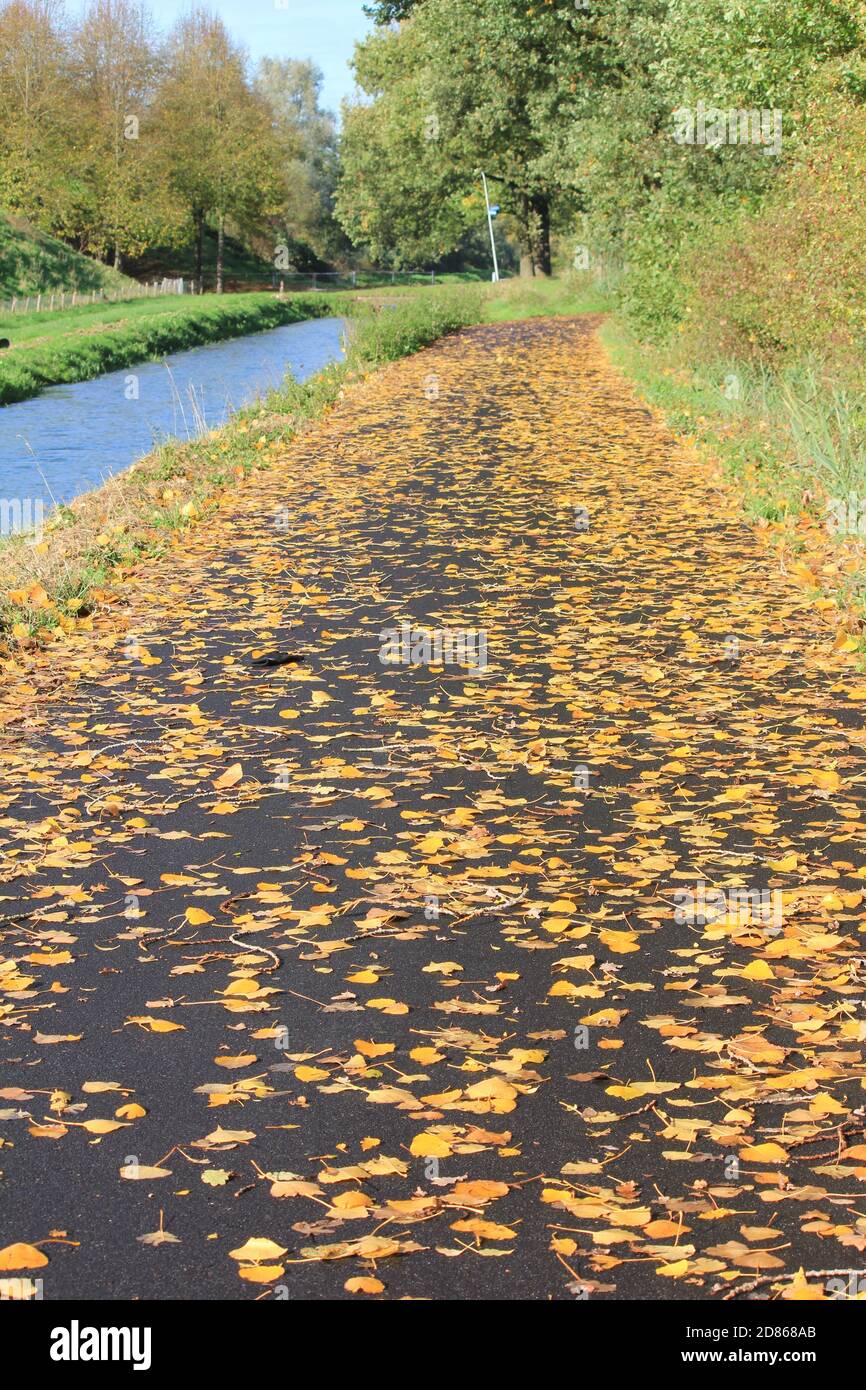 Stadtpark Staddijk Stockfoto