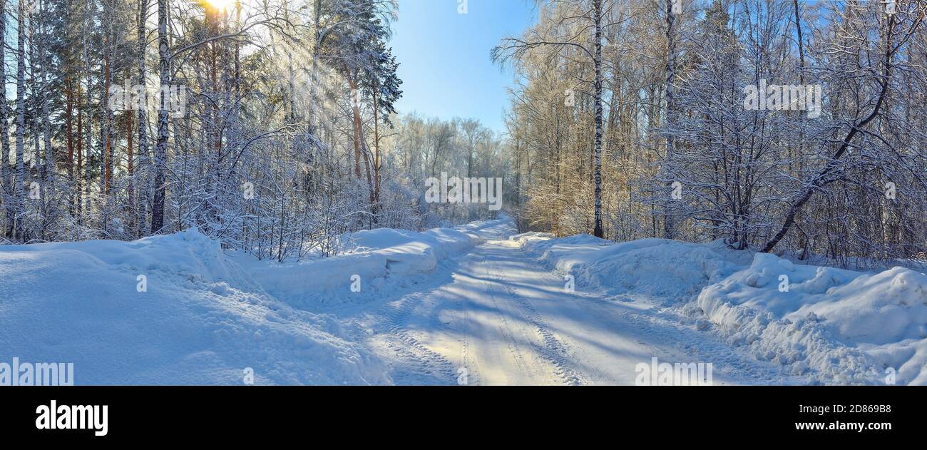 Verschneite Straße durch den gefrorenen Birkenwald mit Schneeverwehungen und Flauschige Reif bedeckte Bäume an hellen sonnigen Tag mit Blau Klarer Himmel - wunderschöne Sonnen Stockfoto
