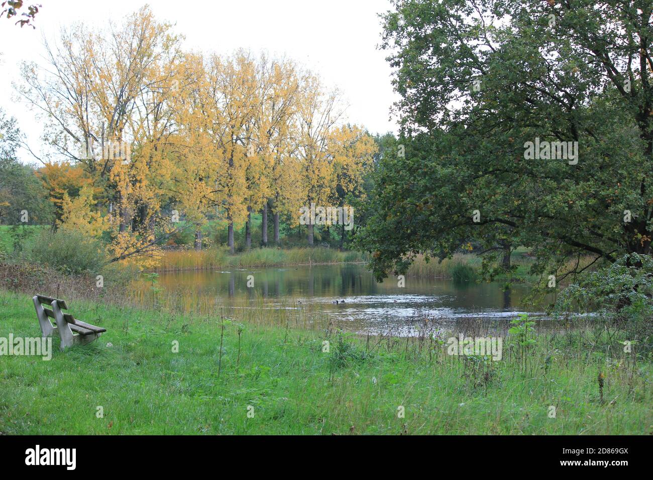 Stadtpark Staddijk Stockfoto