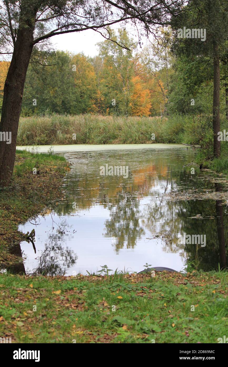 Stadtpark Staddijk Stockfoto