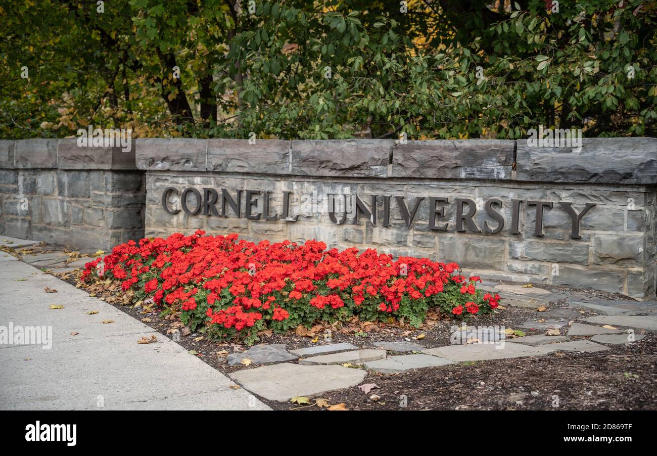 Ithaca, New York - 18. Oktober 2020: Eingang zur Cornell University an der College Avenue Bridge Stockfoto