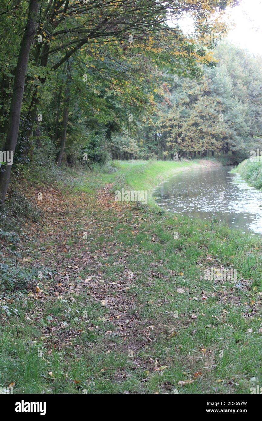 Stadtpark Staddijk Stockfoto
