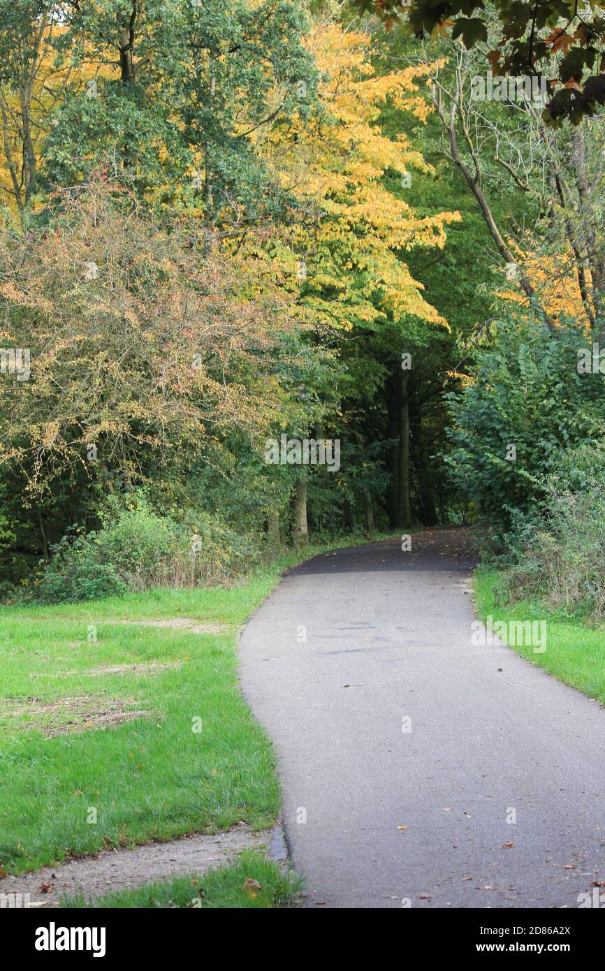 Stadtpark Staddijk Stockfoto
