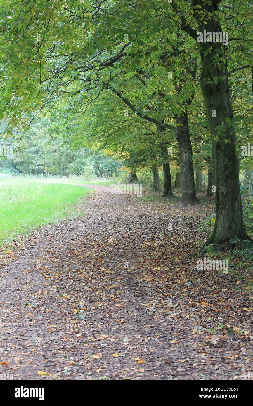 Stadtpark Staddijk Stockfoto