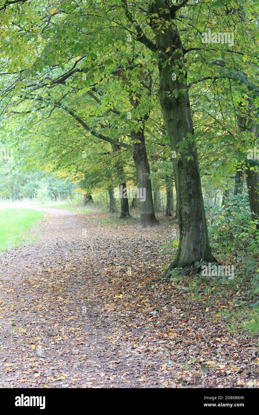 Stadtpark Staddijk Stockfoto