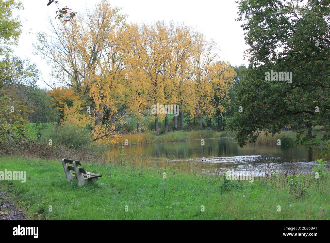 Stadtpark Staddijk Stockfoto