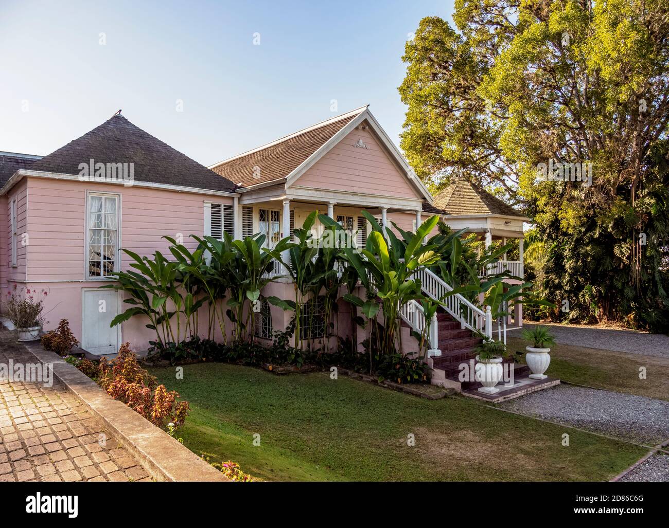 UCC Blue Mountain Coffee Craighton Estate, Coffee Plantation, Irish Town, Blue Mountains, Saint Andrew Parish, Jamaica Stockfoto