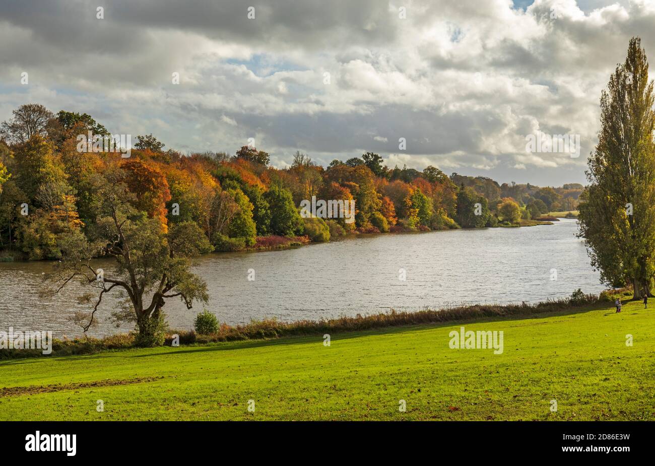 Der malerische See und die Herbstfärbung in den Bäumen im Bowood House and Gardens, Calne, Wiltshire, England, Großbritannien Stockfoto
