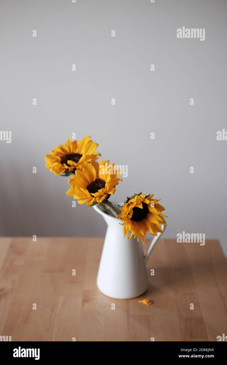 Minimalistische Sonnenblumen auf dem Tisch Stockfoto