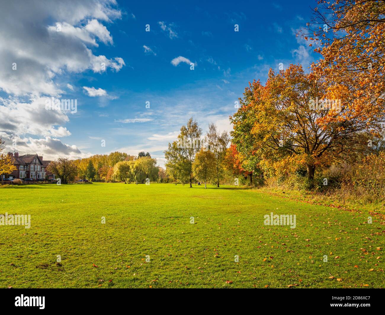 Mönche Verirrt an einem sonnigen Herbsttag. Heworth, York. Stockfoto