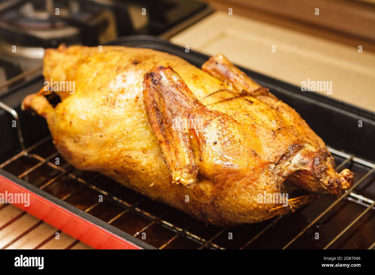 Im Ofen geröstete Ente in einer tiefen Pfanne mit Grillrost, zubereitetes Essen für das Feiertagsessen, selektiver Fokus Stockfoto