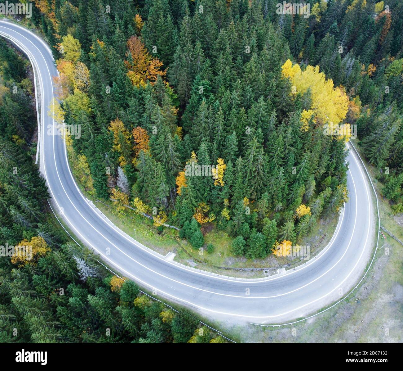 Asphaltierte Straße durch einen dichten Wald in den Karpaten, Ukraine. Stockfoto
