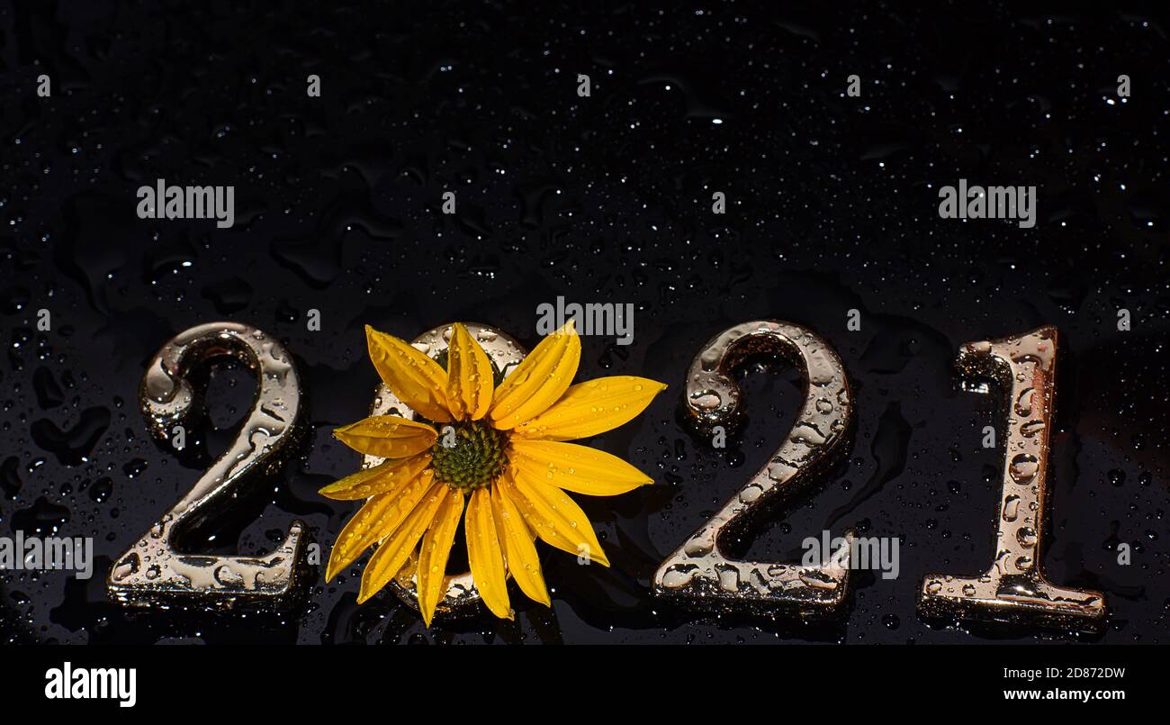 Metallische Zahlen 2021 in gelber Blüte auf dunklem Grund. Stockfoto