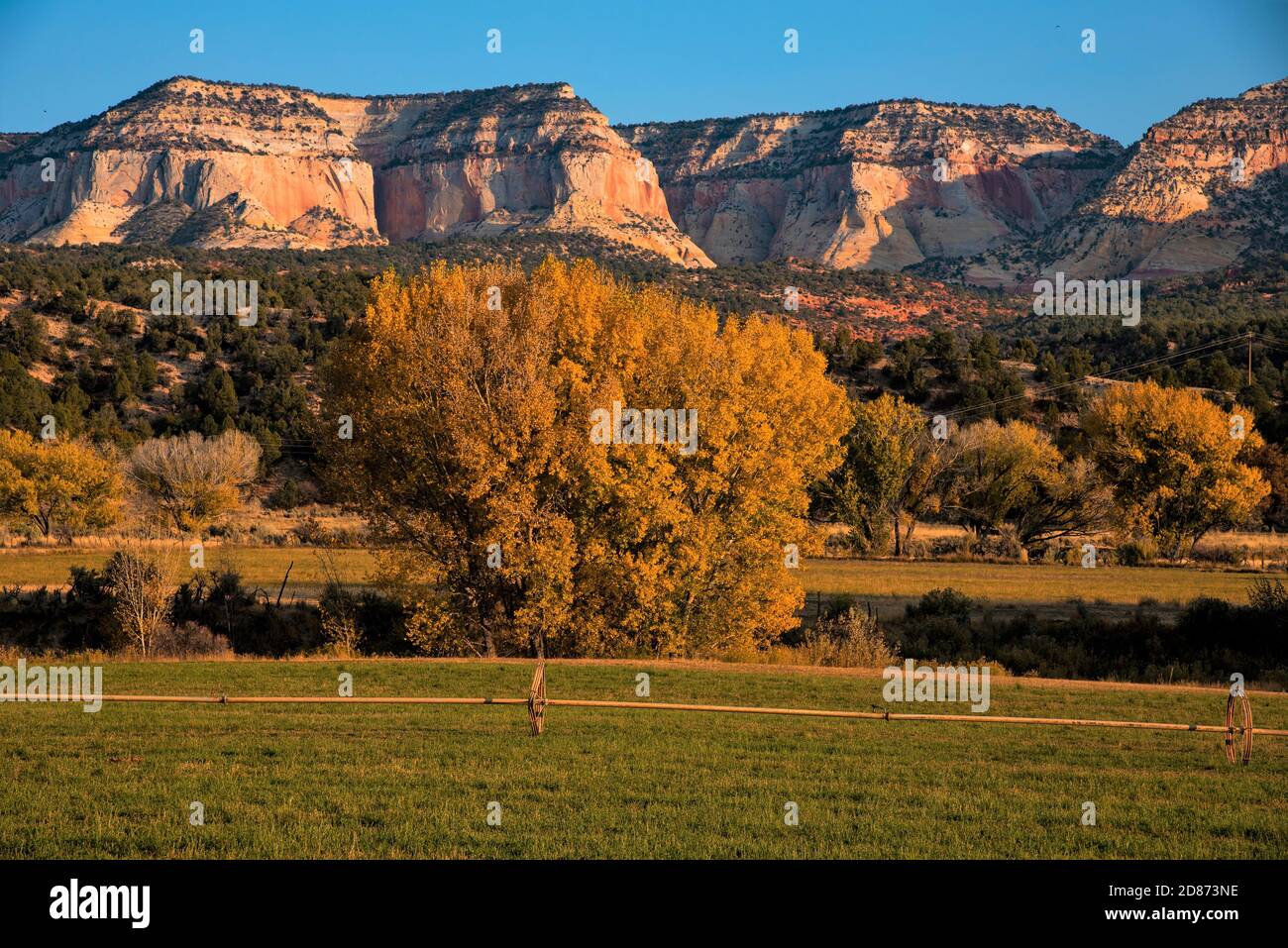 Paunsaugunt Plateau im Süden von Utah, USA. Eine schöne und zerklüftete Bergplateau bekannt für seine geologische Vielfalt und Tierwelt. Stockfoto