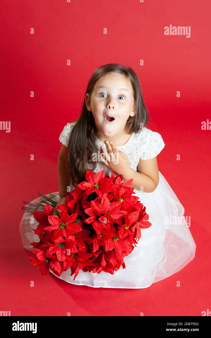 Ein Mädchen in einem weißen Kleid ist sehr überrascht von dem Geschenk und hält Blumen in den Händen, isoliert auf einem roten Hintergrund Stockfoto